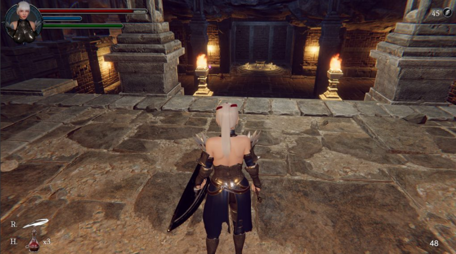 图片[2]-【仅PC/ACT/3D】地下城女骑士 The Knight Girl And Dungeons Ver25.01.23  官方中文版[3.3G/百度]-test