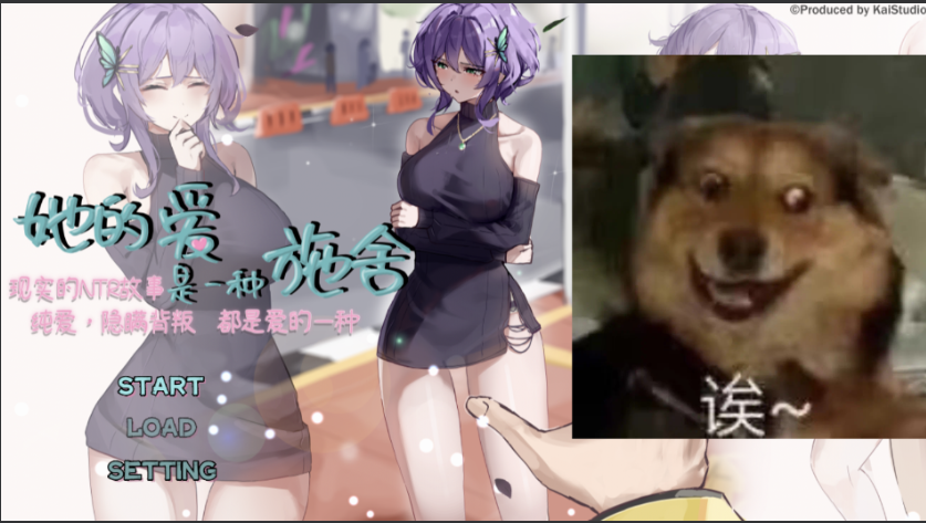 【仅PC/日式RPG/NTR/去码版】 她的爱是一种施舍 Hers’Alms 官中步兵版 [1.40G/百度]-test