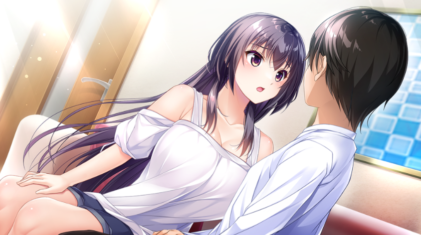 图片[2]-【拔作ADV/AI汉化】幸乃下蛍の恋青日和 ～お義姉ちゃんとの秘密同棲～[1.14G/度云]-test