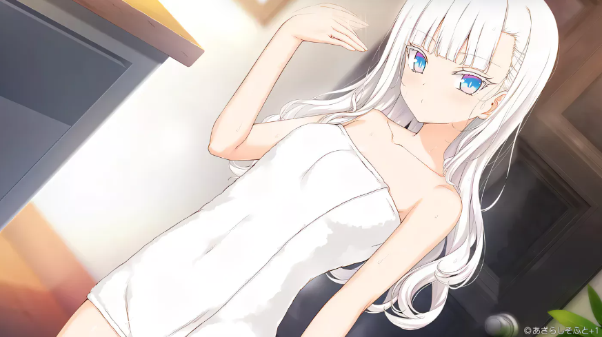 图片[2]-PC《アイコトバ -Silver Snow Sister-银雪姐妹》-test